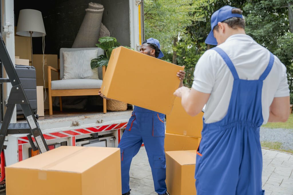 removal services in new zealand